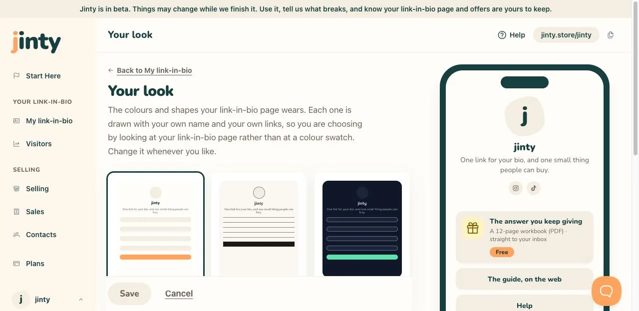 The look screen, with the themes and the dark frame on the current one.
